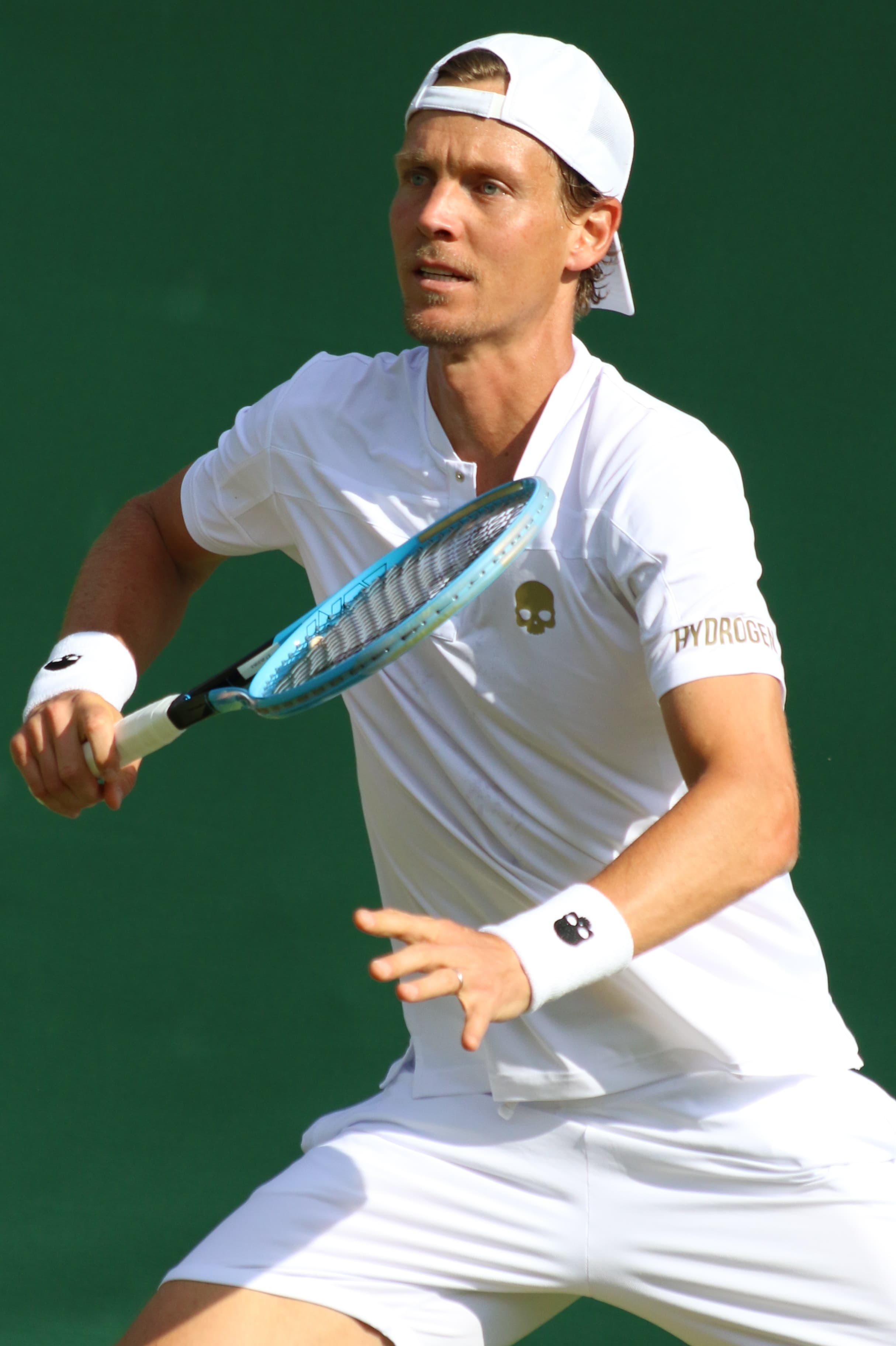 Berdych Tomas's profile picture