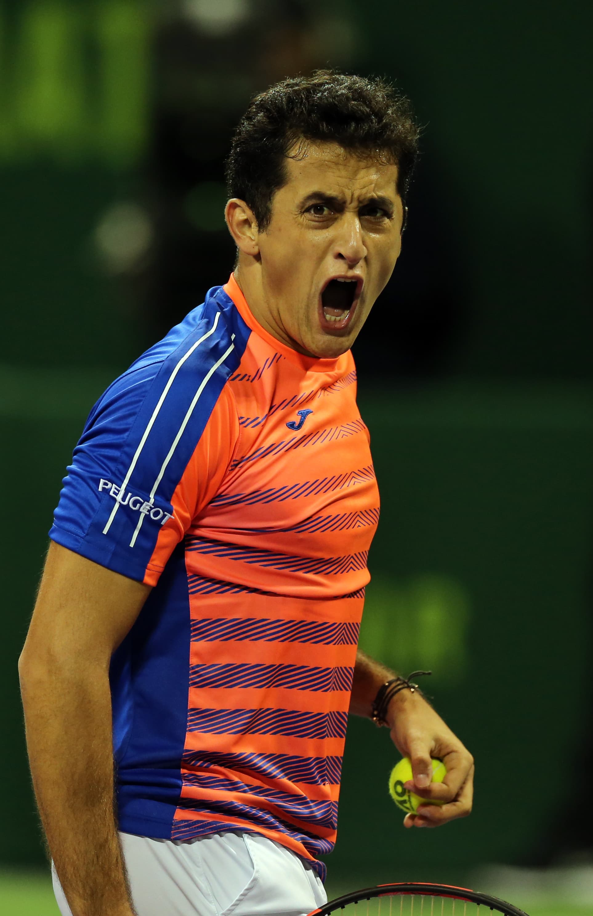Almagro Nicolas's profile picture