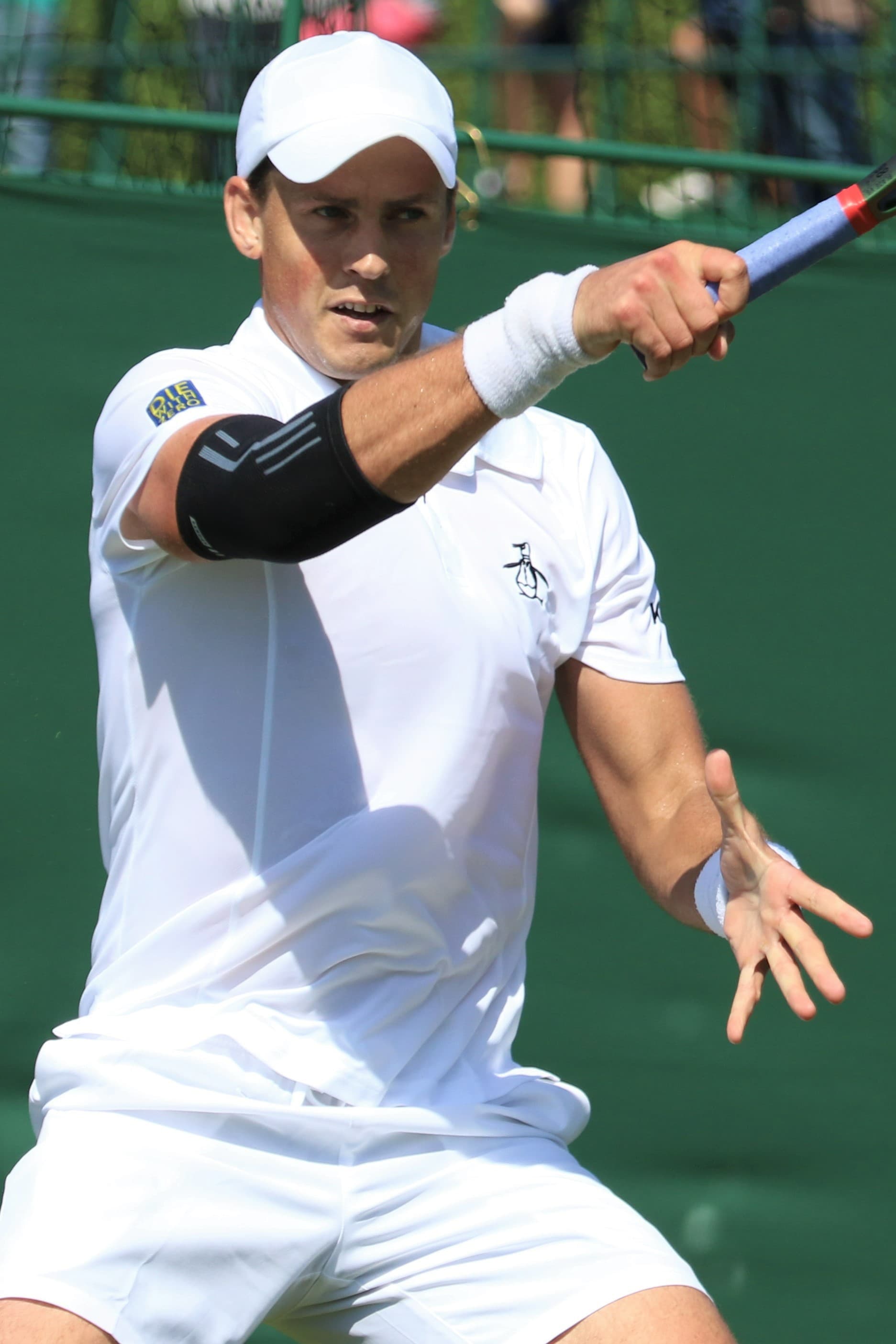 Pospisil Vasek's profile picture