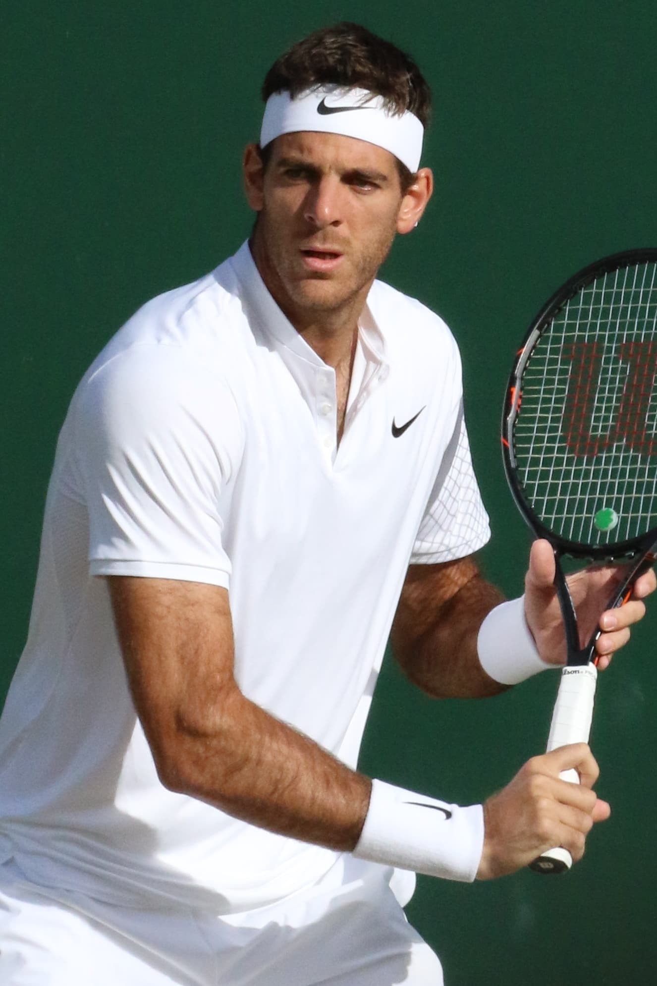 Del Potro Juan Martin's profile picture
