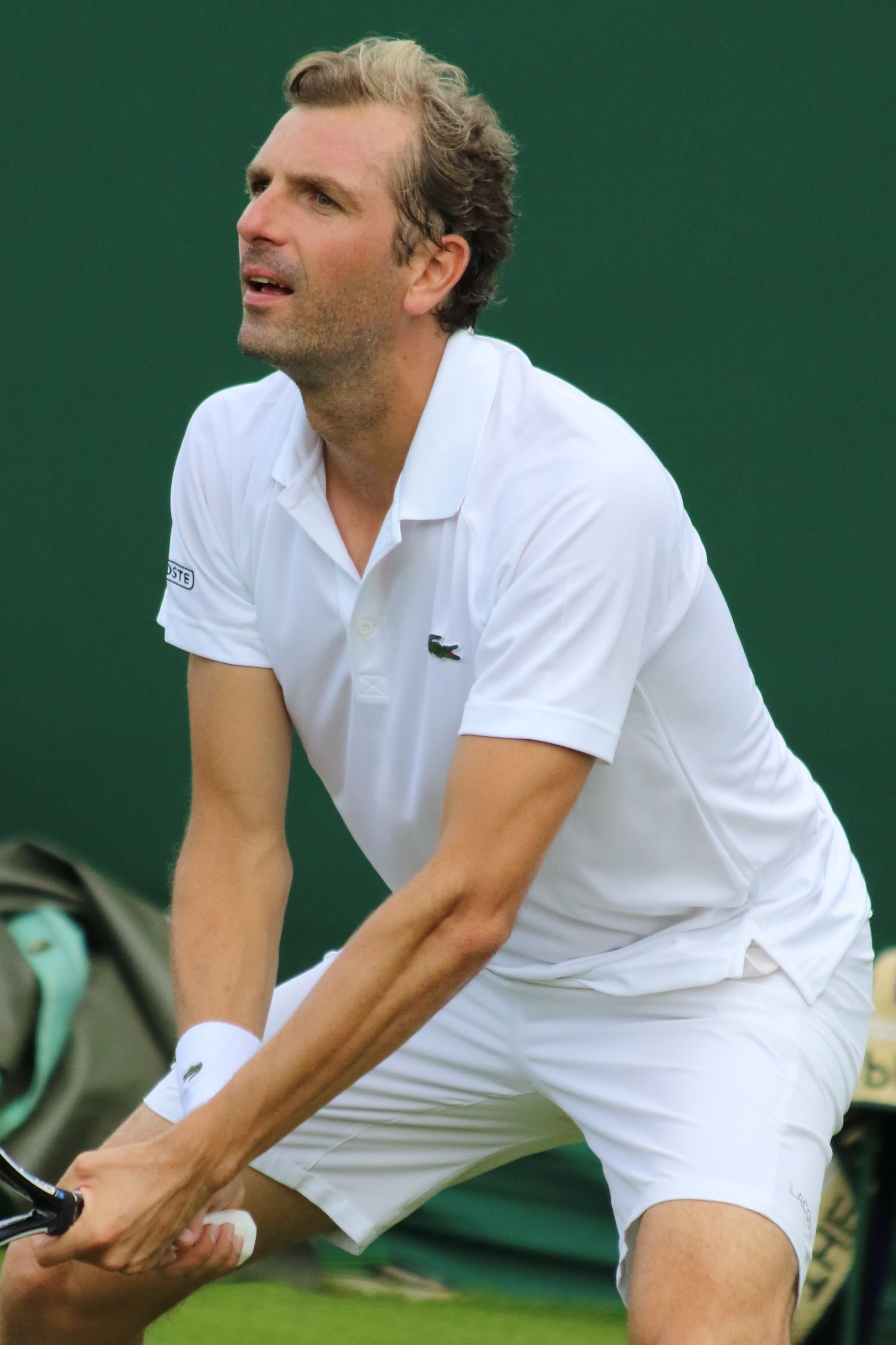 Benneteau Julien's profile picture