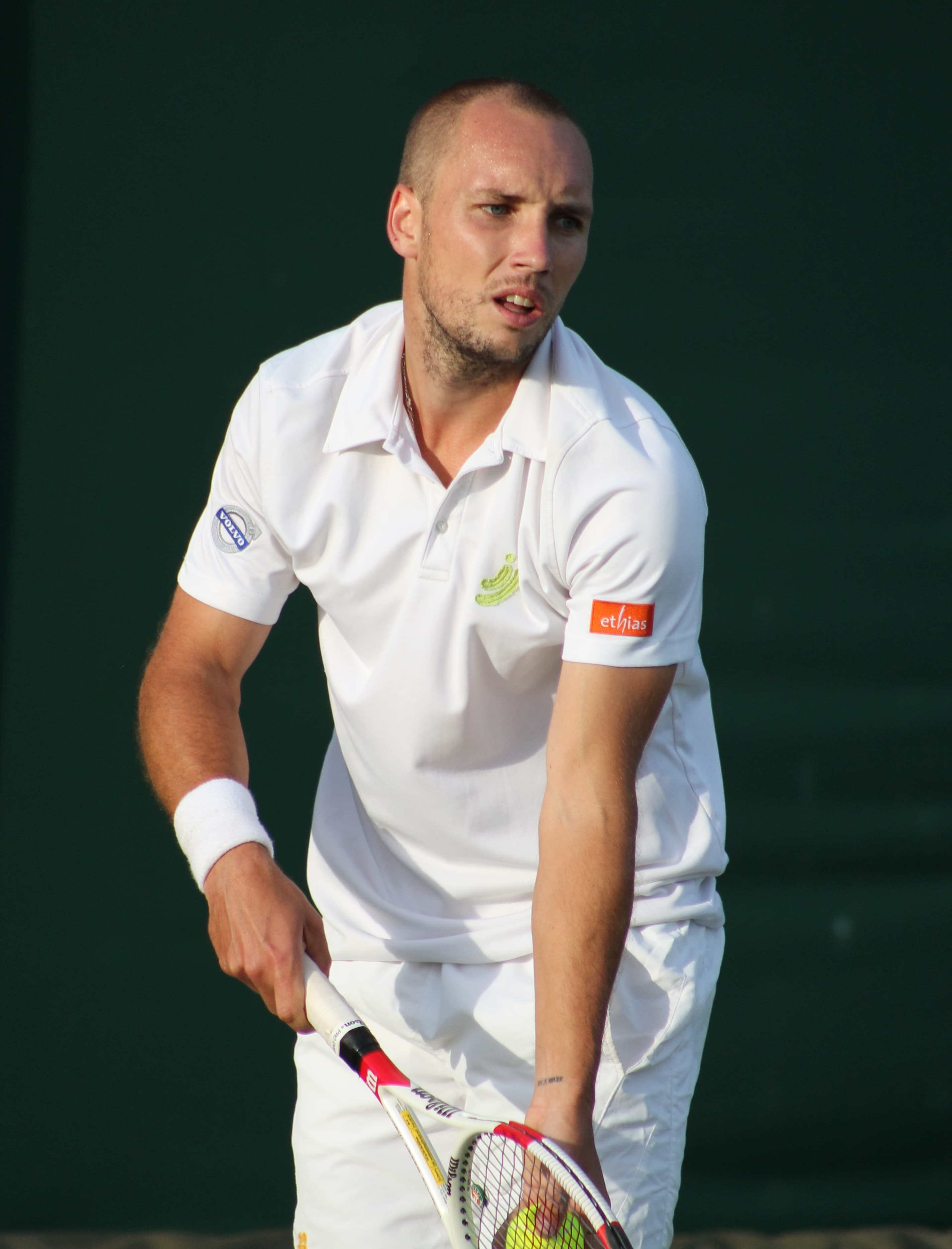 Darcis Steve's profile picture