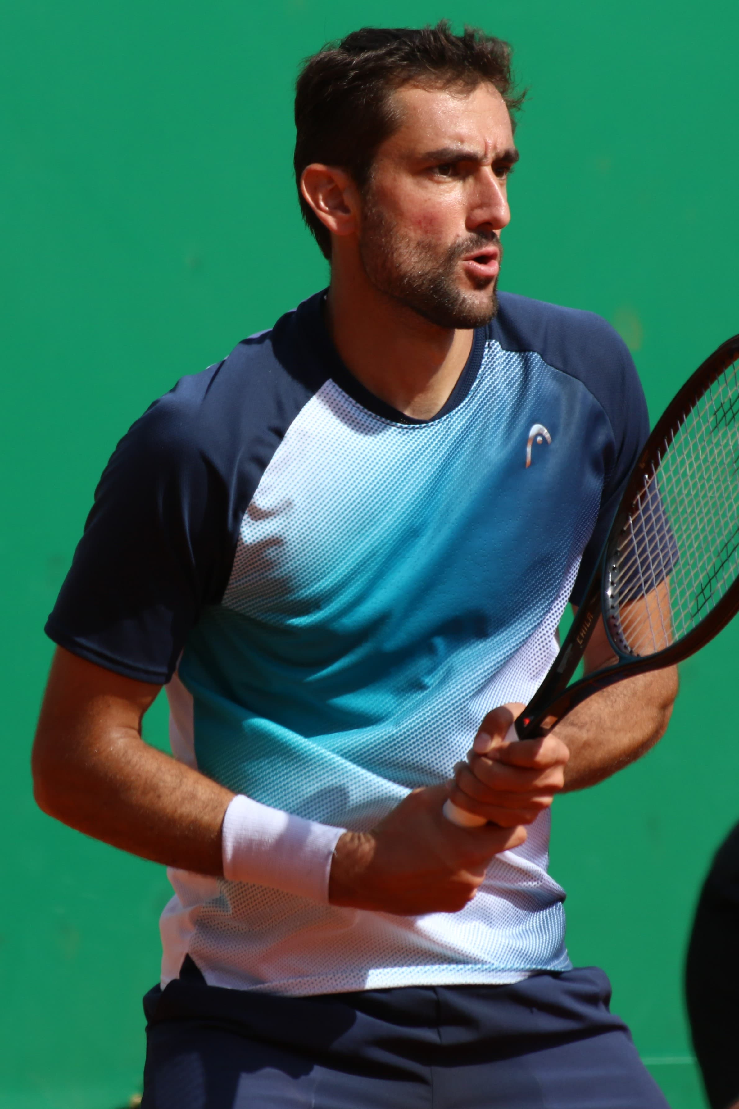Cilic Marin's profile picture