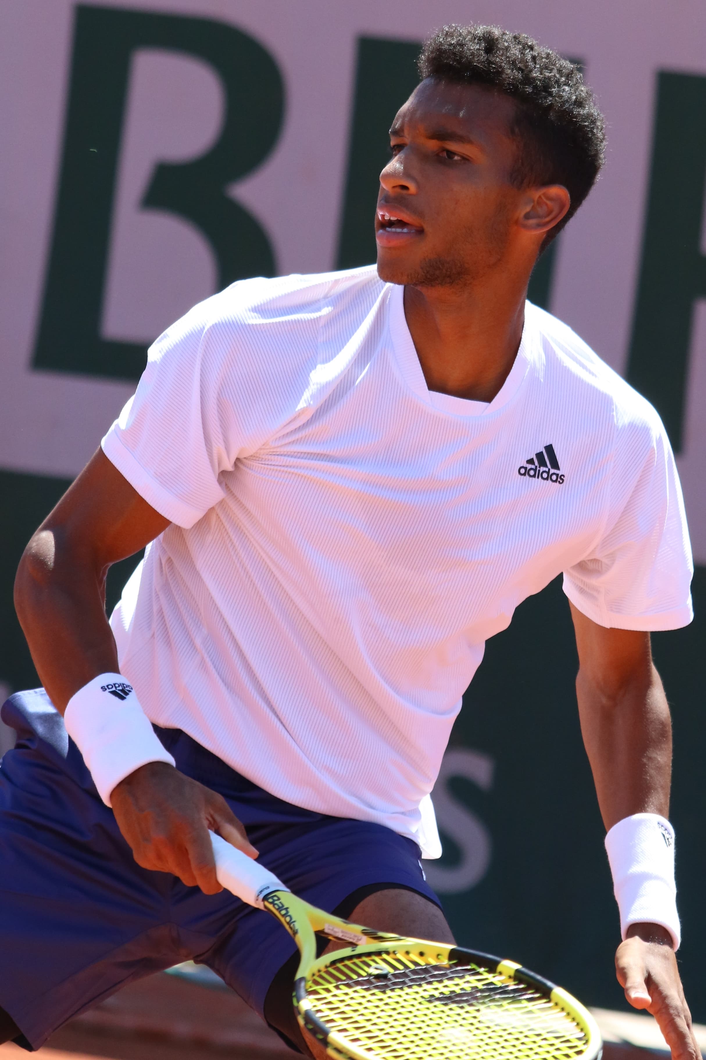Auger Aliassime Felix's profile picture